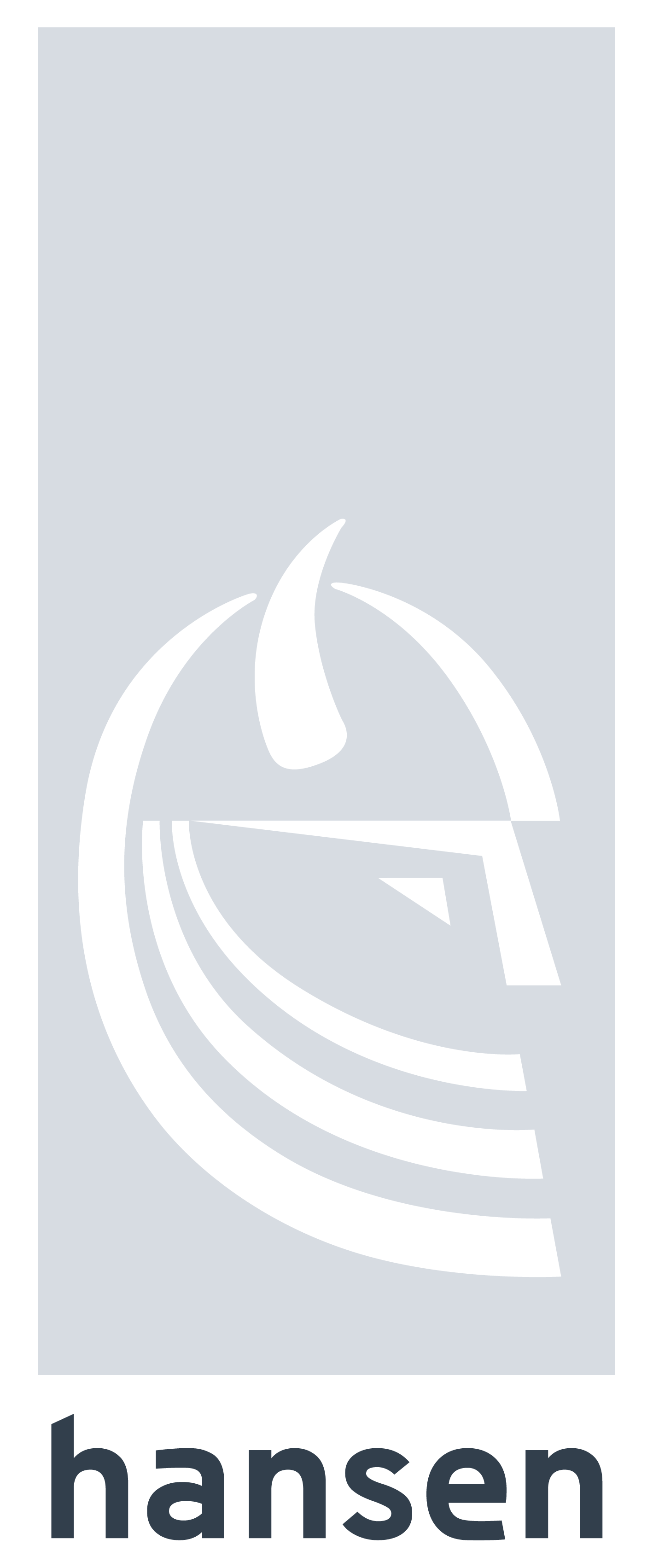HSHansen logo Viking
